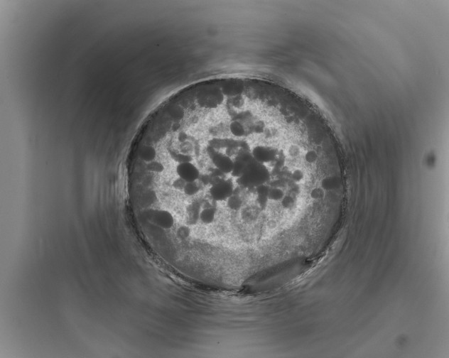 X0000097631267200803211800