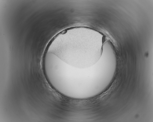 X0000097631268200803211800