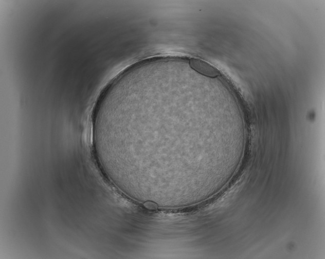 X0000097631269200803211800