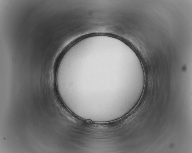 X0000097631270200803211800