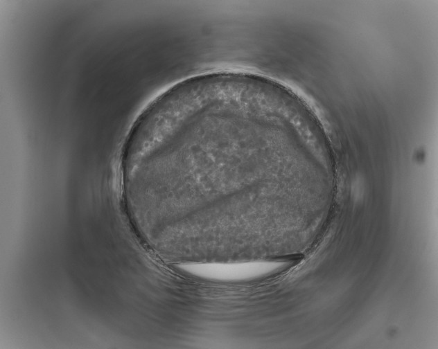 X0000097631271200803211800