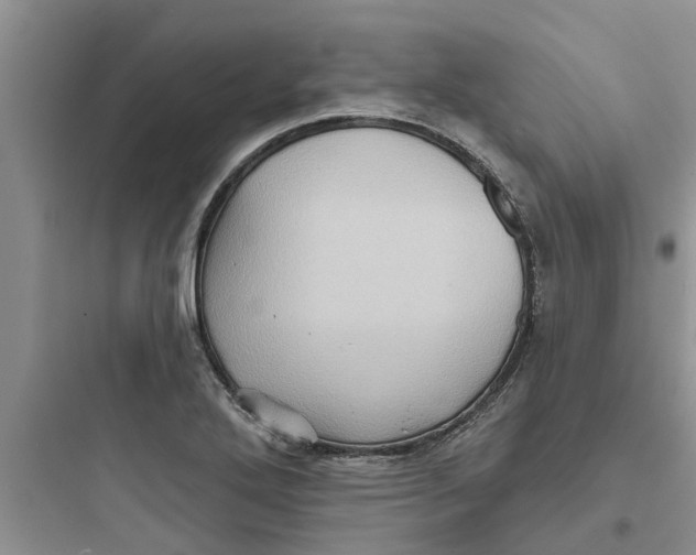 X0000097631272200803211800