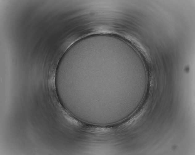 X0000097631273200803211800