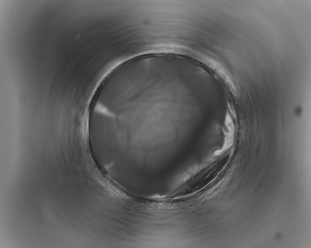 X0000097631275200803211800