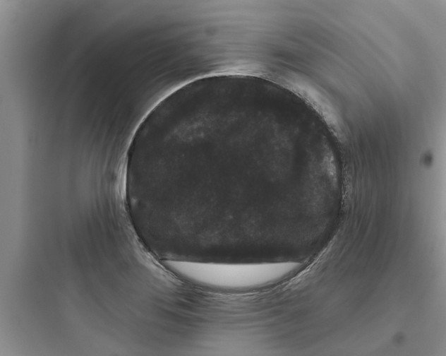 X0000097631276200803211800