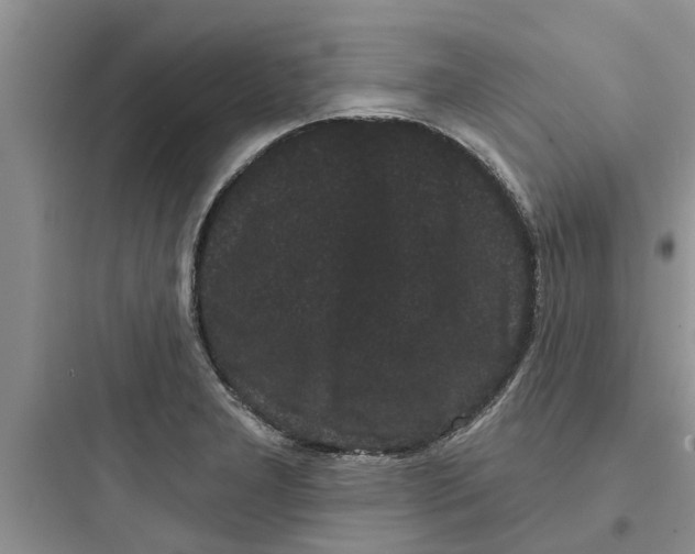 X0000097631277200803211800