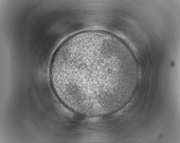 X0000097631278200803211800