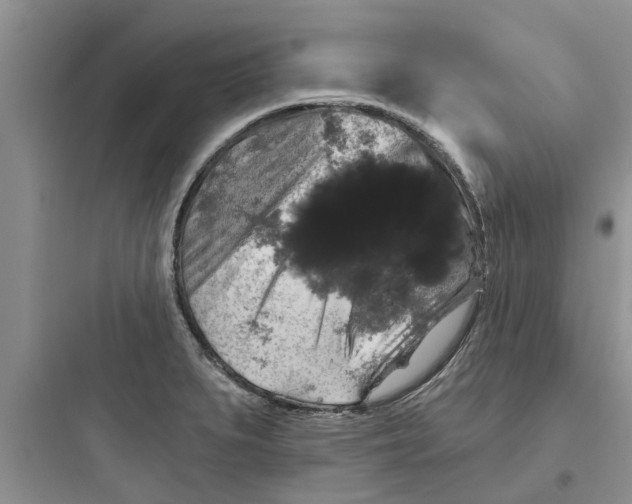 X0000097631279200803211800