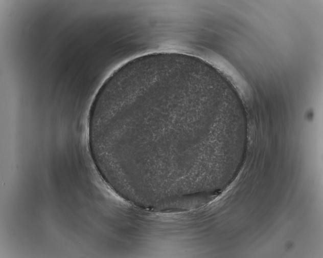 X0000097631280200803211800