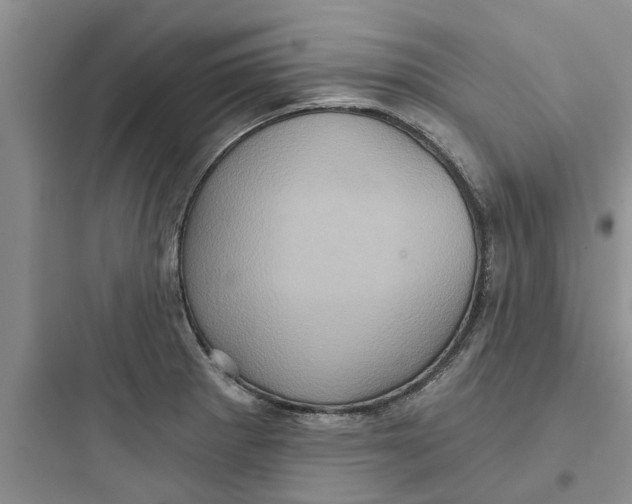 X0000097631281200803211800