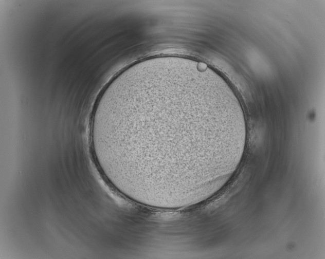 X0000097631282200803211800