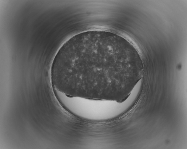 X0000097631283200803211800