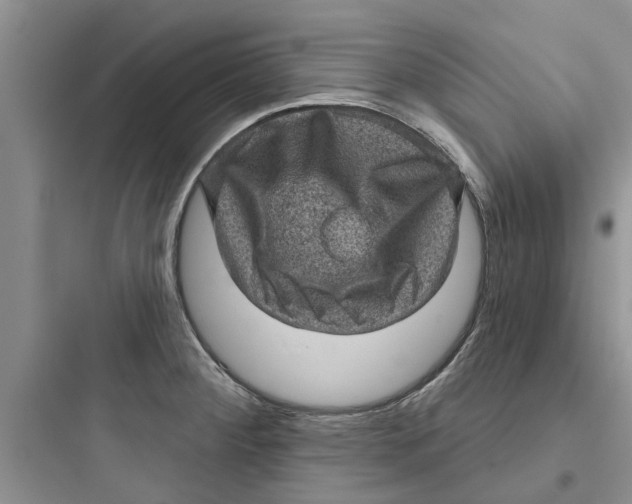 X0000097631284200803211800