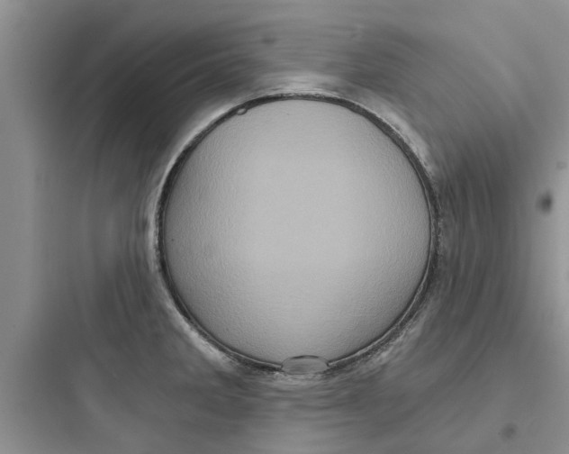 X0000097631285200803211800