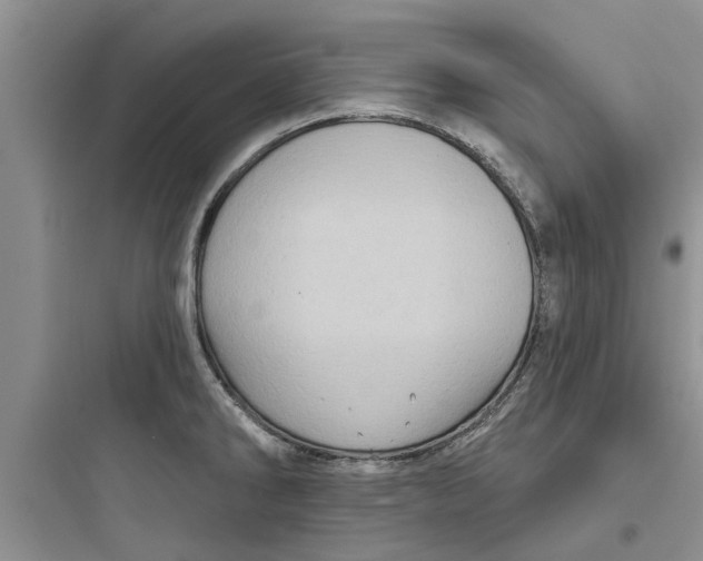 X0000097631286200803211800