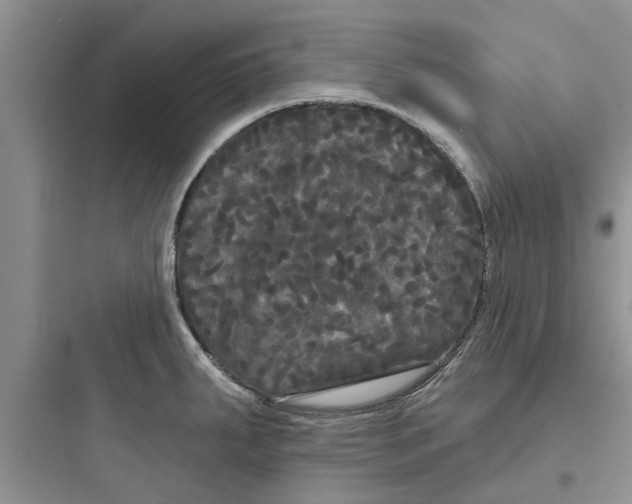 X0000097631287200803211800