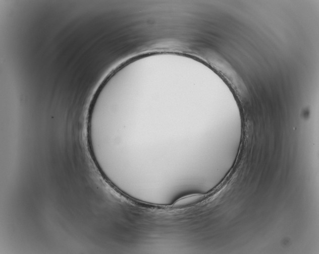 X0000097631288200803211800