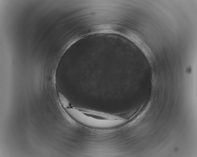 X0000097631289200803211800