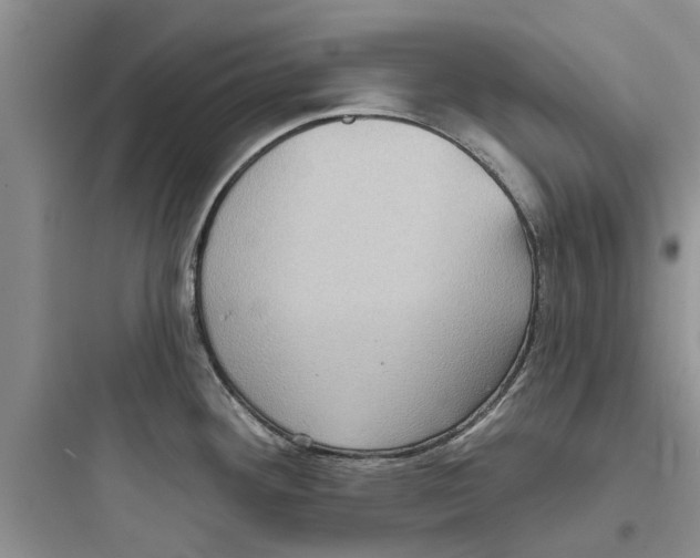 X0000097631292200803211800