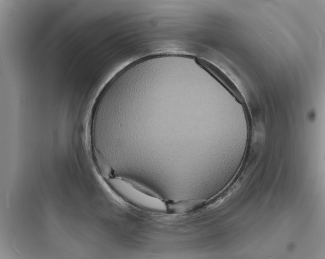 X0000097631293200803211800