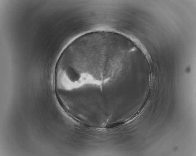 X0000097631295200803211800