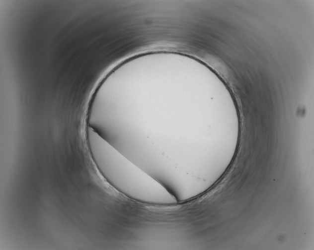 X0000097631296200803211800