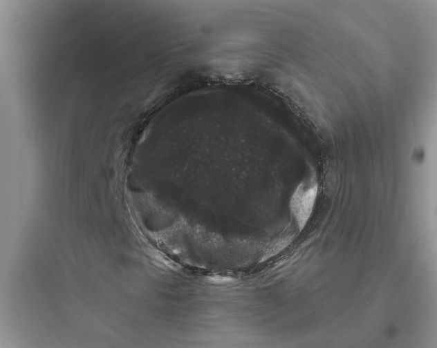 X0000097631297200803211759