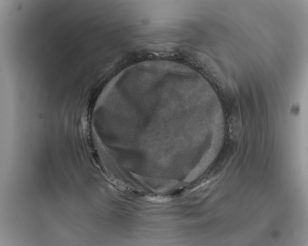 X0000097631298200803211759