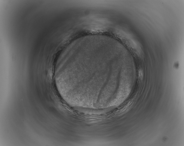 X0000097631300200803211759