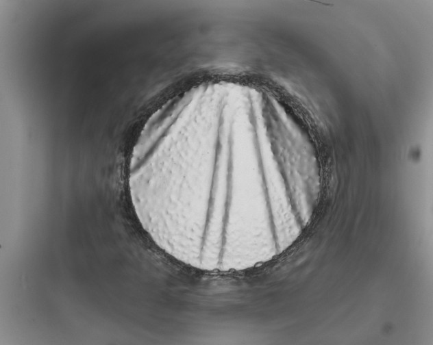 X0000097631301200803211759