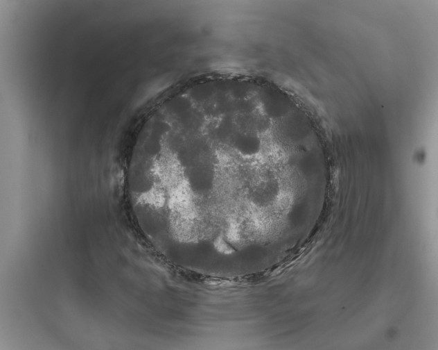 X0000097631302200803211759