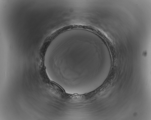 X0000097631303200803211759