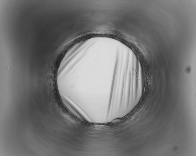 X0000097631304200803211759