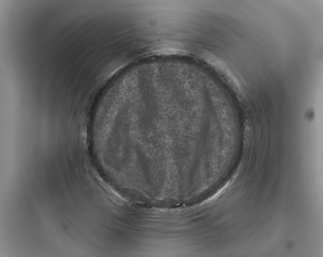 X0000097631305200803211759