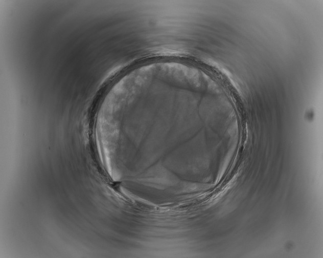 X0000097631306200803211759