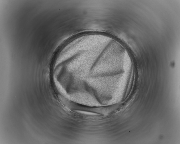 X0000097631307200803211759