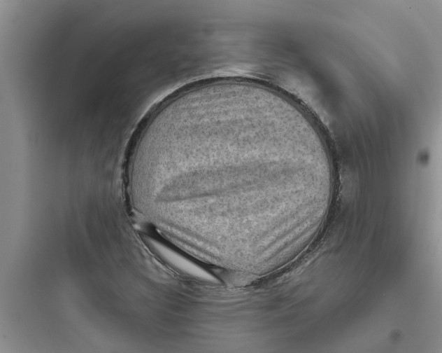 X0000097631308200803211759