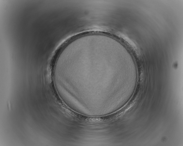 X0000097631310200803211759