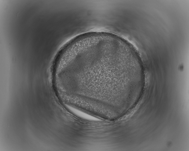 X0000097631311200803211759