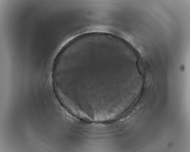 X0000097631312200803211759