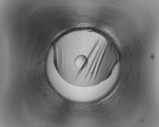 X0000097631313200803211759