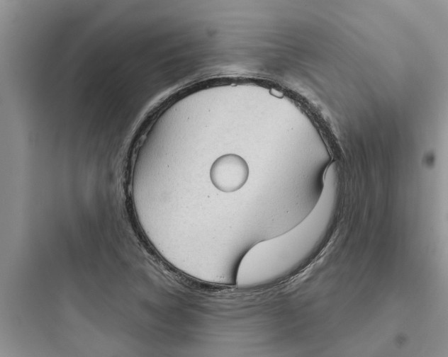 X0000097631314200803211759