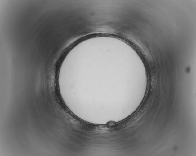 X0000097631315200803211759