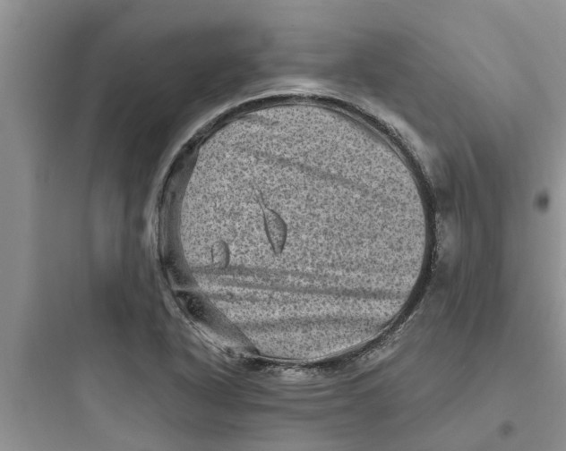 X0000097631318200803211759