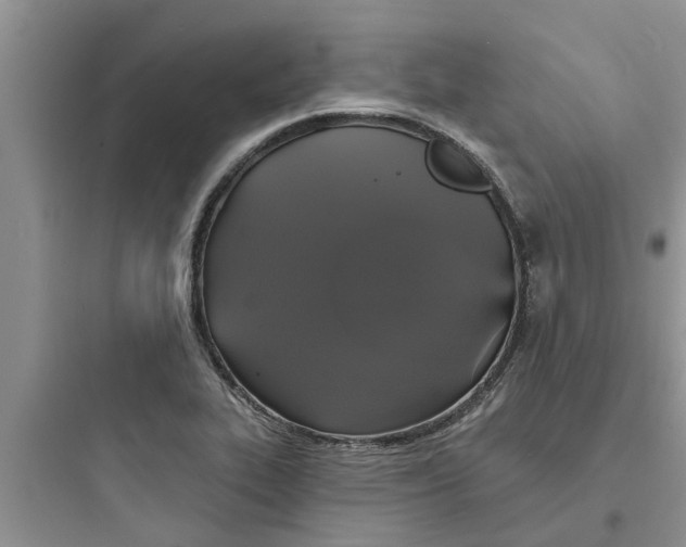 X0000097631319200803211759