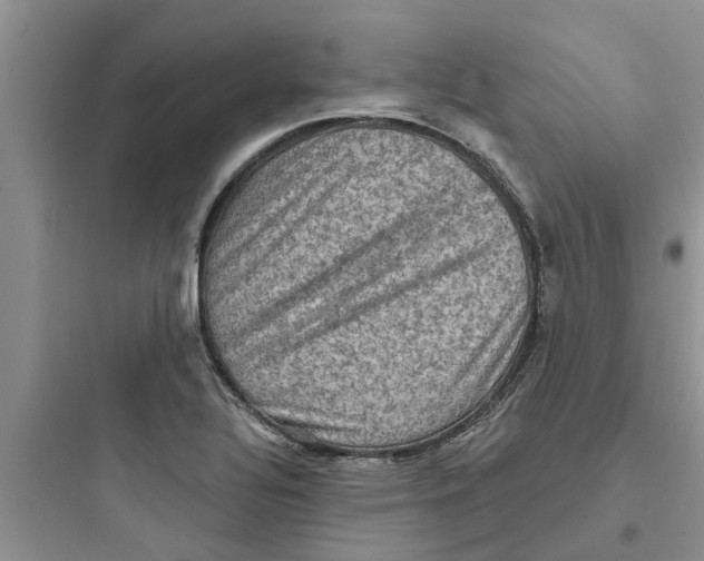 X0000097631320200803211759