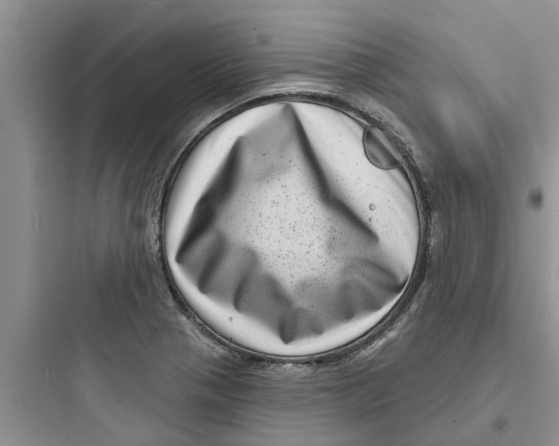 X0000097631321200803211759