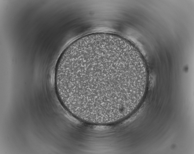 X0000097631322200803211759