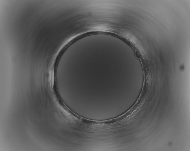 X0000097631323200803211759