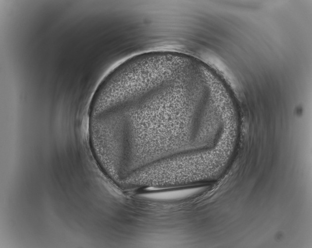 X0000097631324200803211759